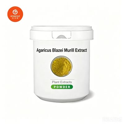 Shelf Life 24months Plant Extracts Einecs 204 680 1 10 to 1 Pure Botanical Extracts for in Food Supplements and Cosmetics